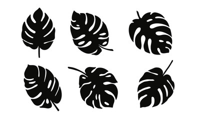 Set of black silhouettes of tropical leaves. Monstera - obrazy, fototapety, plakaty