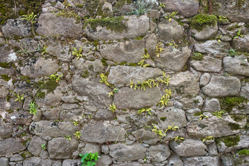 Texture of a stone wall. Old castle stone wall background. Wall made of wild stone. Natural background.
