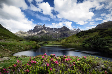 Wunderschöner Bergsee mit Alpenrosen (Langsee mit Patteriol)