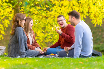 Group of happy friends enjoying a picnic