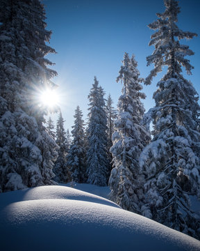 Frisch verschneite Winterlandschaft in den Alpen (Vorarlberg, &Ouml;sterreich, Muttj&ouml;chle)