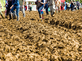 Festival Mud