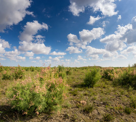 The Steppe of Dagestan