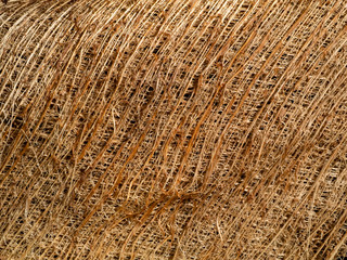 Close up brown Coconut fiber texture background.
