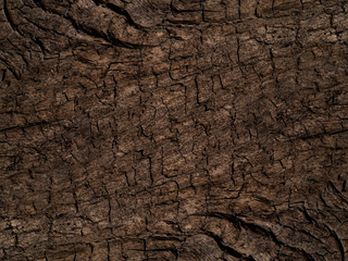 Close up brown wood texture background in vintage tone.