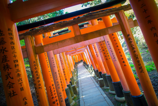 Torii gates in Fushimi Inari Shrine, Kyoto, Japan 