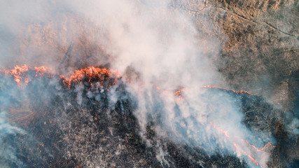 Strong fire in an empty field. Strong smoke from the burning place.