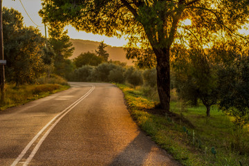 Obraz premium rural road country side space in dramatic bright orange sunset lighting 