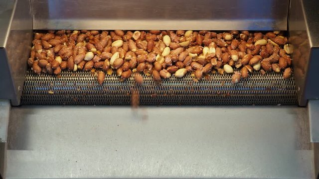 peanut roasting machine. roasted salted peanuts