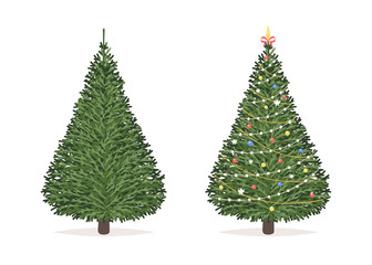 Christmas tree before and after