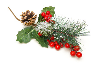 Christmas decoration of holly berry and pine cone
