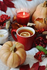 christmas still life with cup of tea and cookies