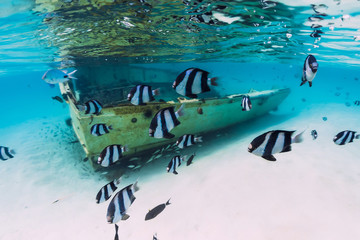 Blue sea with wreck of boat on sandy bottom and school of tropical fish, underwater in Mauritius