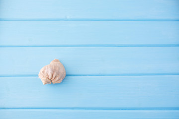 Big seashell lying on a wooden background