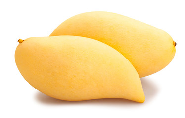 yellow mango