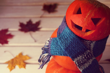 orange pumpkin with a blue scarf on the background of fallen autumn leaves in the evening. warm any...
