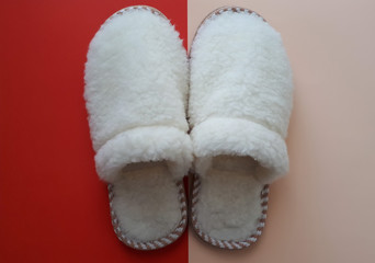 Sheepskin Slippers isolated on a colorful background. The concept of home comfort and warmth.