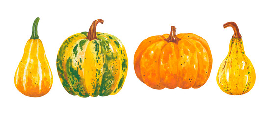 Watercolor hand drawn set of autumn pumpkins. Bright and colorful farm elements. A beautiful collection for Thanksgiving of Halloween invitations, posters and banners. Autumn time. Harvest festival.