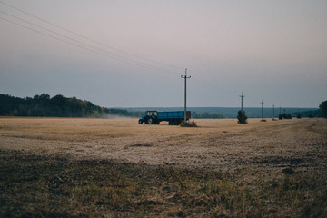 autumn field in the evening