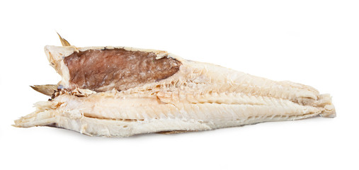 Stockfish isolated on white background