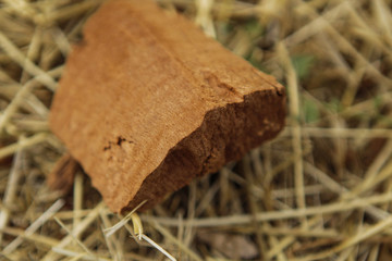 A piece of stale dry tree in a peat state