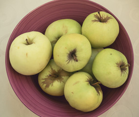 Antonovka garden apples in a purple bowl 1