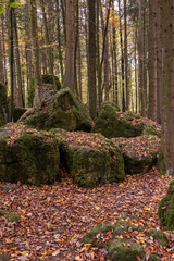 Geheimnissevolle Landschaft des Druidenhaines in der Fränkischen Schweiz