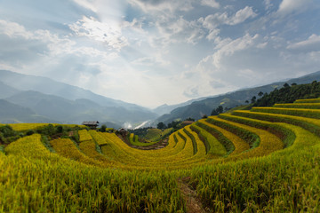 beautiful view of rice terrace (Doi Mong Ngua, diem chup lua view point) in Mu Cang Chai, Vietnam, farmer implant on high mountain. soft focus.