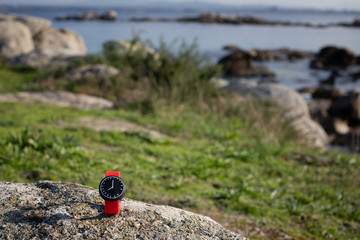 nice watch in the nature