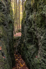Geheimnissevolle Landschaft des Druidenhaines in der Fränkischen Schweiz