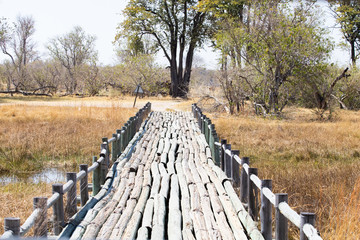 Fototapeta premium bridge made of trunks in the African savannah, off-road trail for 4x4s built originally, game drive adventure with a 4x4 on a wooden bridge. African bridge made in natural way over the swamp. Dry seas