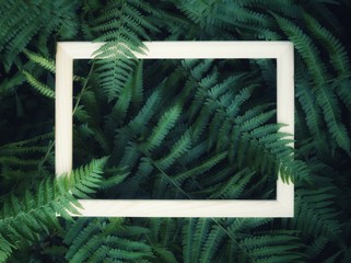 Square wooden frame, Creative layout of fern leaves and tropical flowers with paper card note. Blank for advertising card or invitation. Fern leaf in Forest. Summer poster and nature concept.