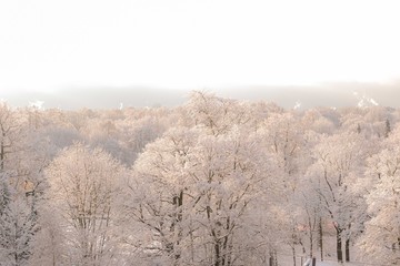 winter landscape with first snow