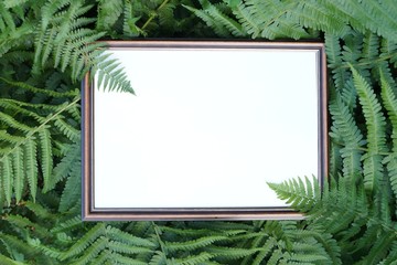 Square wooden frame, Creative layout of fern leaves and tropical flowers with paper card note. Blank for advertising card or invitation. Fern leaf in Forest. Summer poster and nature concept.