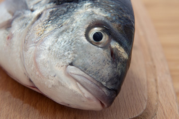 Close-up of fresh fish Sparus aurata on wooden table.
