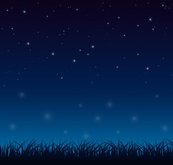 Fototapeta na wymiar Blue dark night sky with lot of shiny stars and grass ground silhoutte background