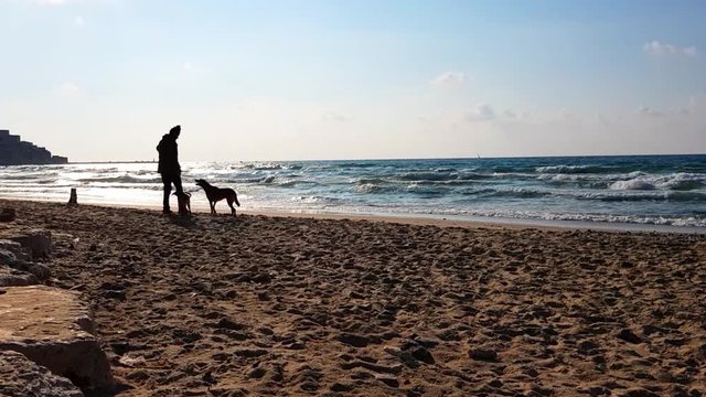 Silhouette of a man playing with three dogs at the beach at sunset