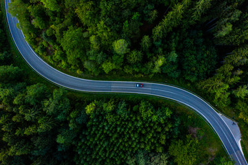 Straße durch Wald
