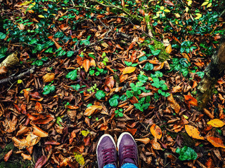 Close up of legs walking in the forest, legs on a forest hiking trail covered in autumn leaves and roots, going up