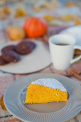 tasty pumpkin pie. autumn picnic