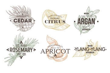 Herbs spices and fruit isolated icon with lettering plant and food