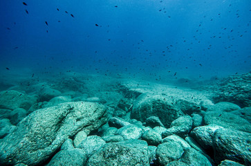 Rock underwater on the seabed in the Mediterranean sea, natural scene. Underwater photography.