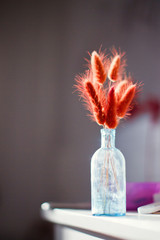 red dried grass in blue glass vase