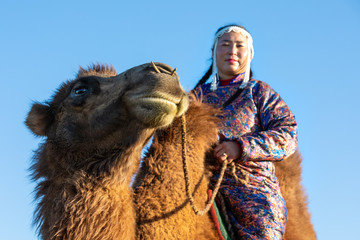 Woman in traditional Mongolian attire with her bactrian camel. Gobi desert, Mongolia.