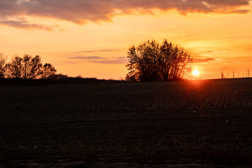 Naklejka premium A field plowed in autumn at sunset, the central strip of Russia