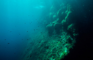 Rock underwater on the seabed in the Mediterranean sea, natural scene. Underwater photography.