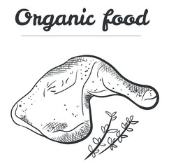 organic chicken food sketch style  hand drawn illustration