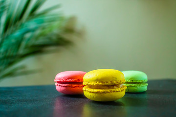 three macaroons cookies on a dark background with a palm tree at the back. Copy space.