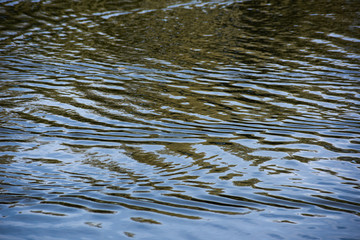 Water surface with waves, soft focus