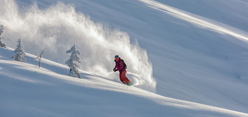 freerider in a bright suit rides fast skiing with large splashes of snow on a sunny day. Young Beautiful female skier. Snow scoot. Extreme winter sports. sunrise light, edit space. 